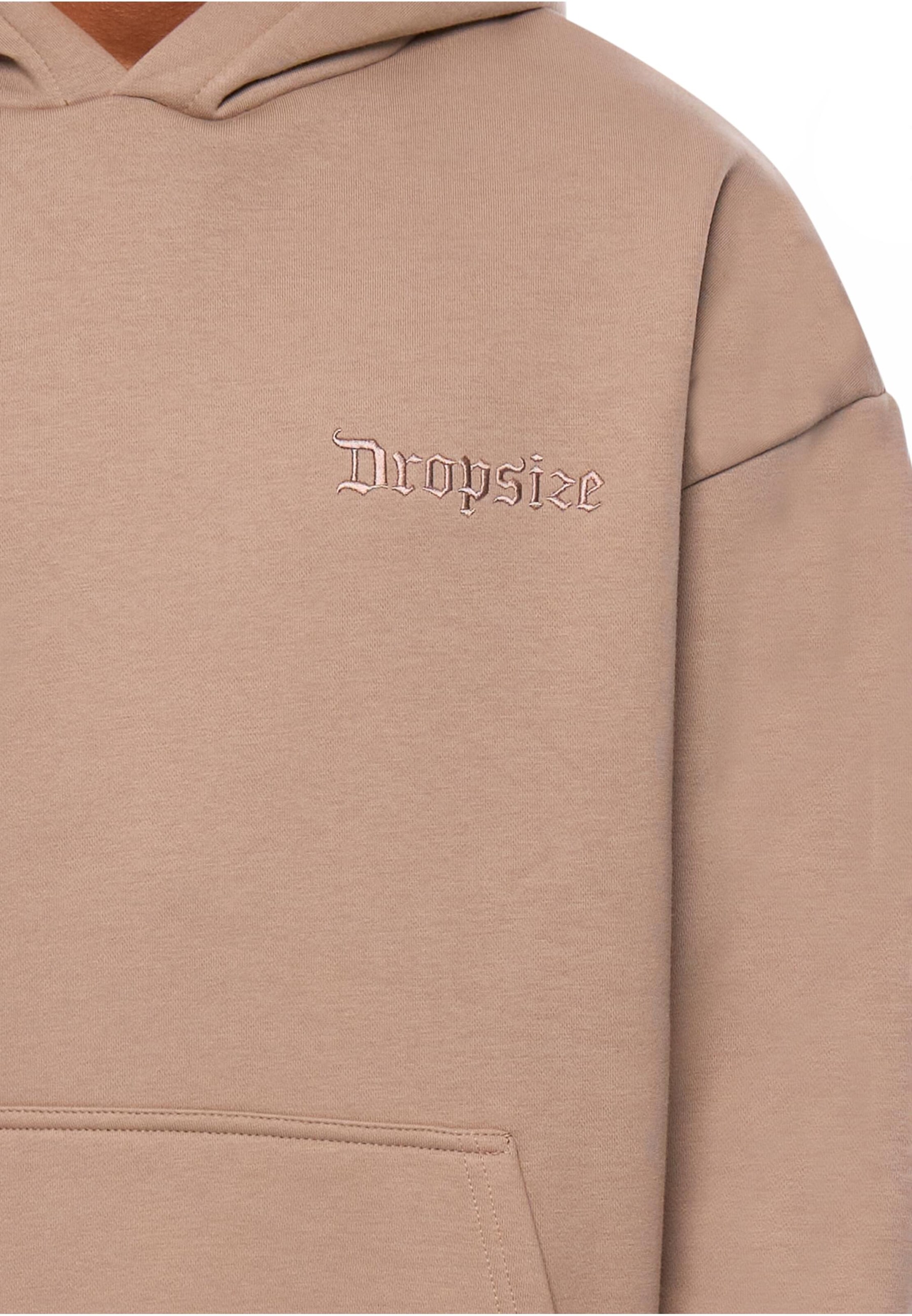 Dropsize Sweatshirt in Brown