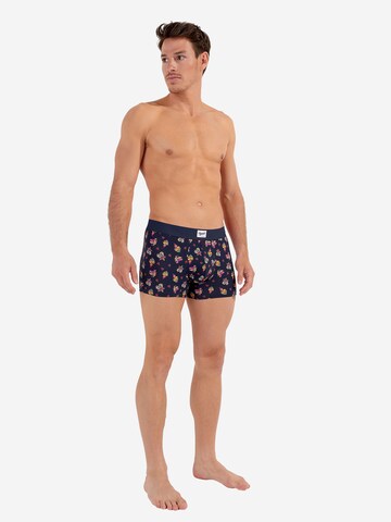 HOM Boxer shorts 'Love Story' in Blue: front