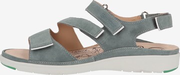 Ganter Sandals in Grey