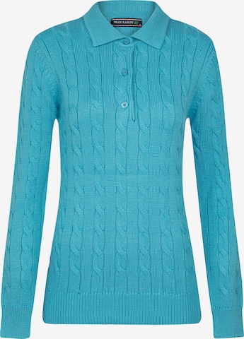 Pull-over Felix Hardy en bleu : devant