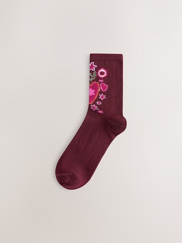 Next Socks in Mixed colours