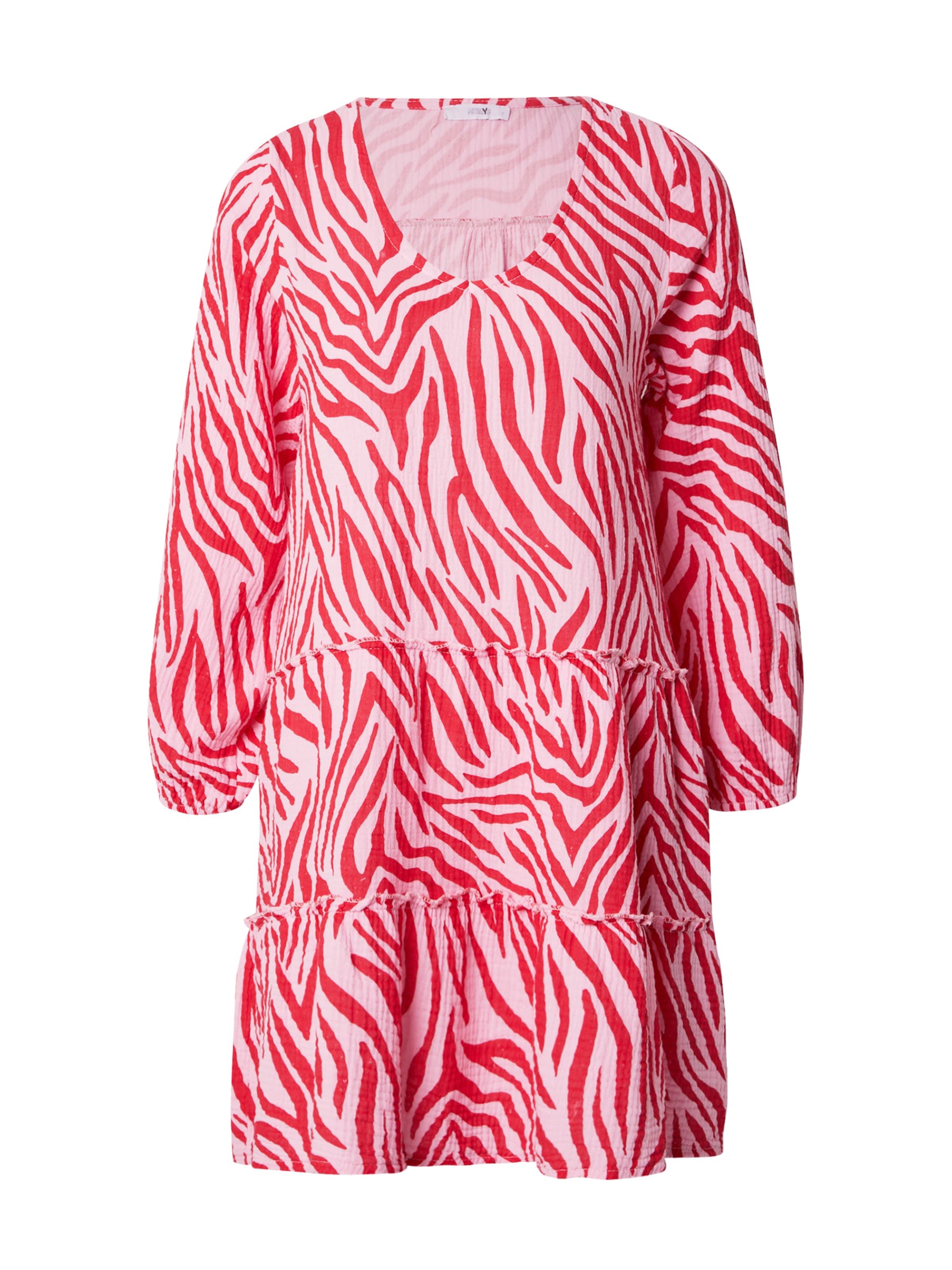 Hailys Φόρεμα 'Ri44na' σε κόκκινο: μπροστά