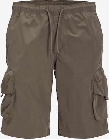 Loosefit Pantalon cargo JACK & JONES en marron : devant