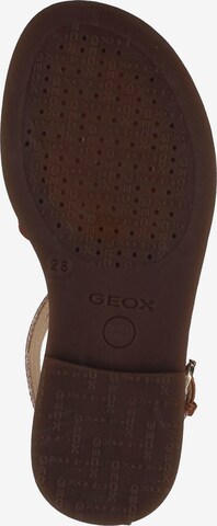 GEOX Sandals 'Karly' in Brown