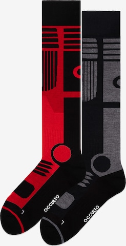 Occulto Sportsocken 'Felix' in Rot: Vorderseite