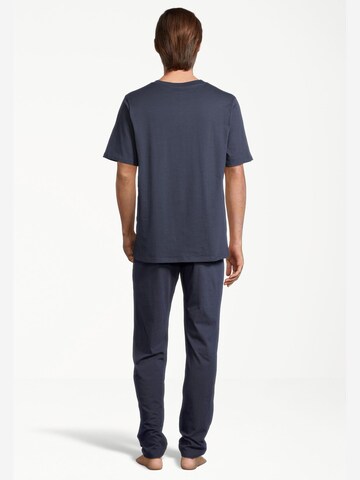 SCHIESSER Pajama short 'Night & Home' in Blue