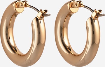 Lauren Ralph Lauren Earrings in Gold