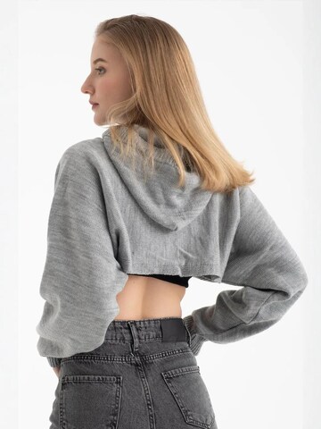 Pullover di Hiccup in grigio