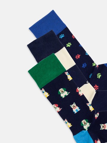 DillySocks Socken in Mischfarben