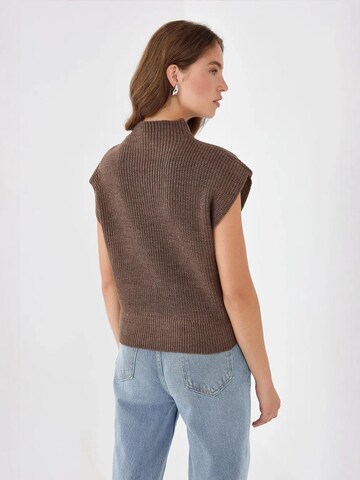 Pullover di Hiccup in marrone