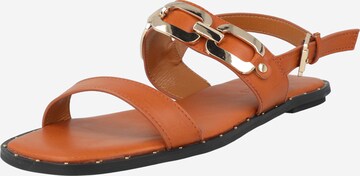 Dorothy Perkins Sandalen met riem in Bruin: voorkant