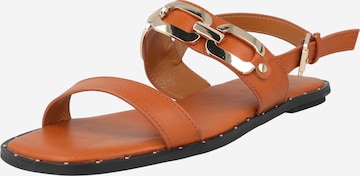 Dorothy Perkins Strap sandal in Brown: front