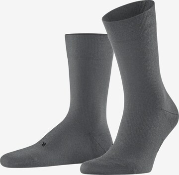 FALKE Socken 'Stabilizing Wool Everyday' in Grau: Vorderseite