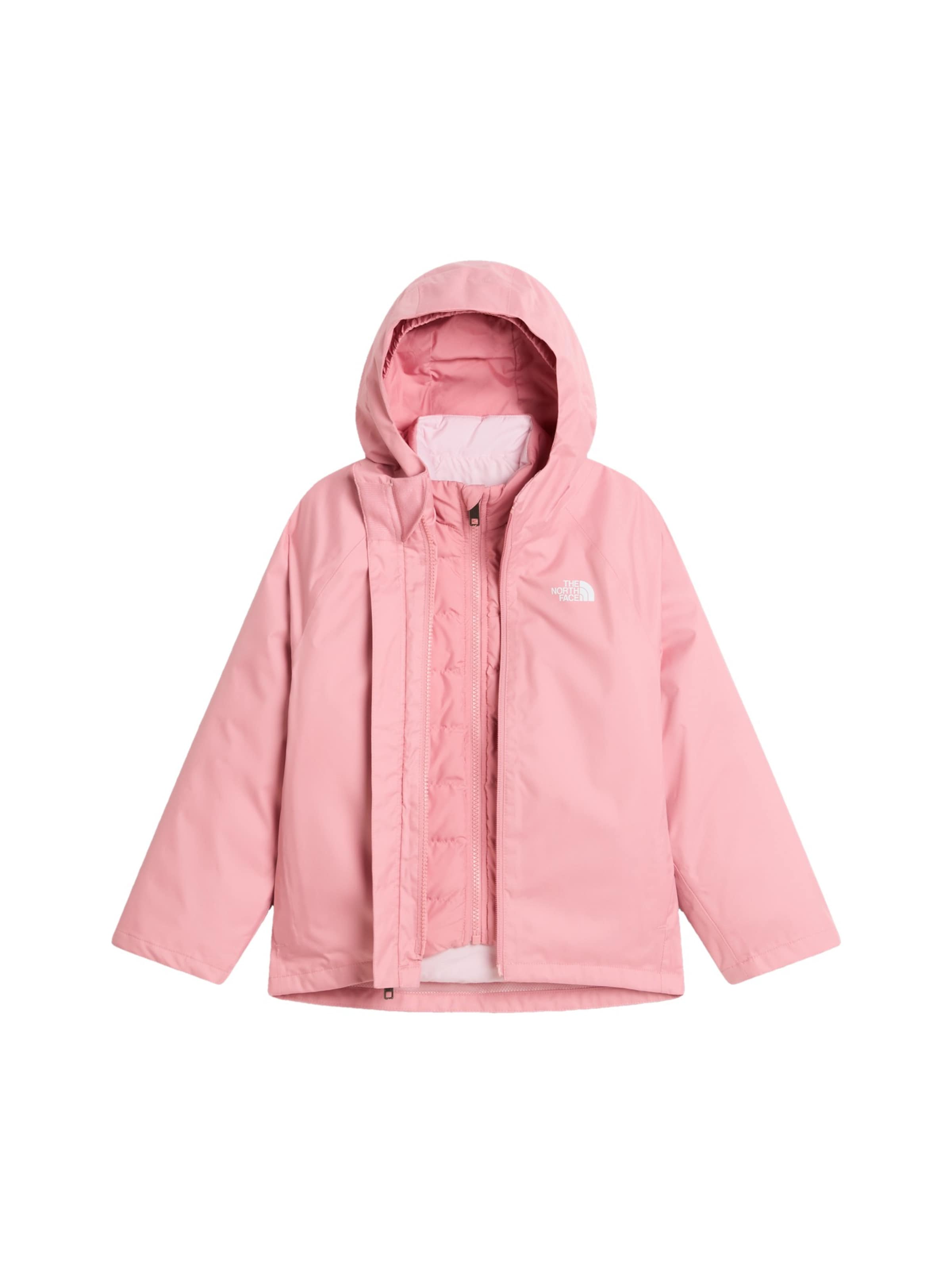 THE NORTH FACE Funkční bunda – mix barev