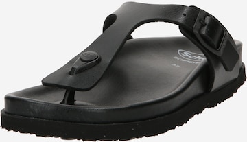SCHOLL T-Bar Sandals 'NICOLE' in Black: front