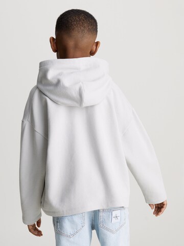 Calvin Klein Jeans Sweatshirt 'Terry' in Grey