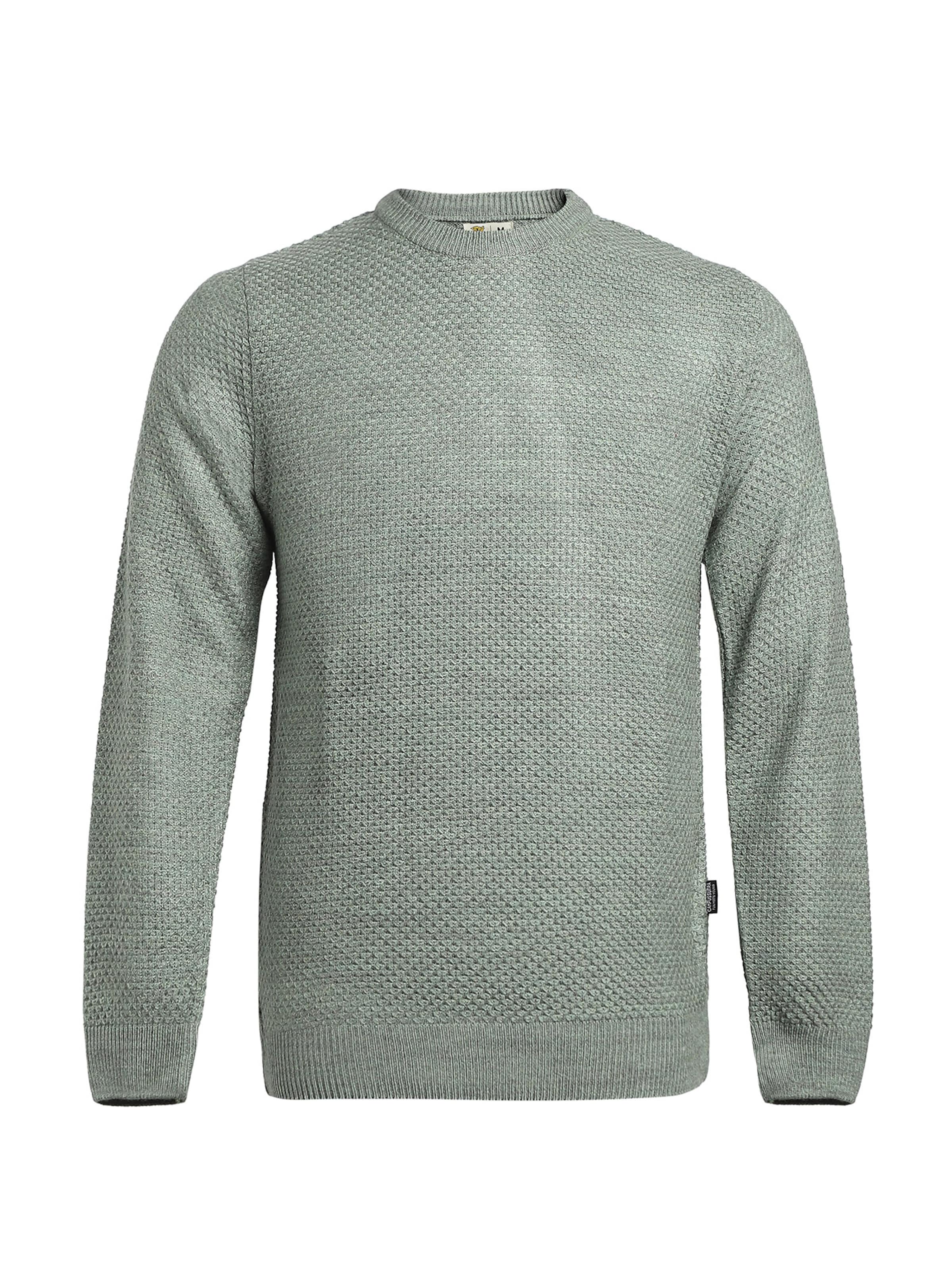 Campus Sutra Свитер 'Power' в Зеленый: спереди