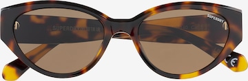 Superdry Eyewear Sonnenbrille in Braun: Vorderseite
