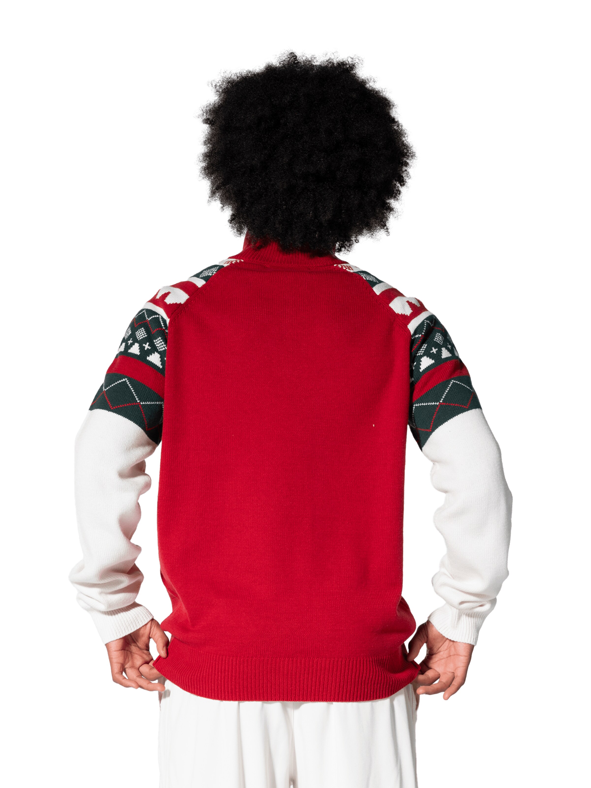 FC BAYERN MÜNCHEN Fleece Jacket in Red