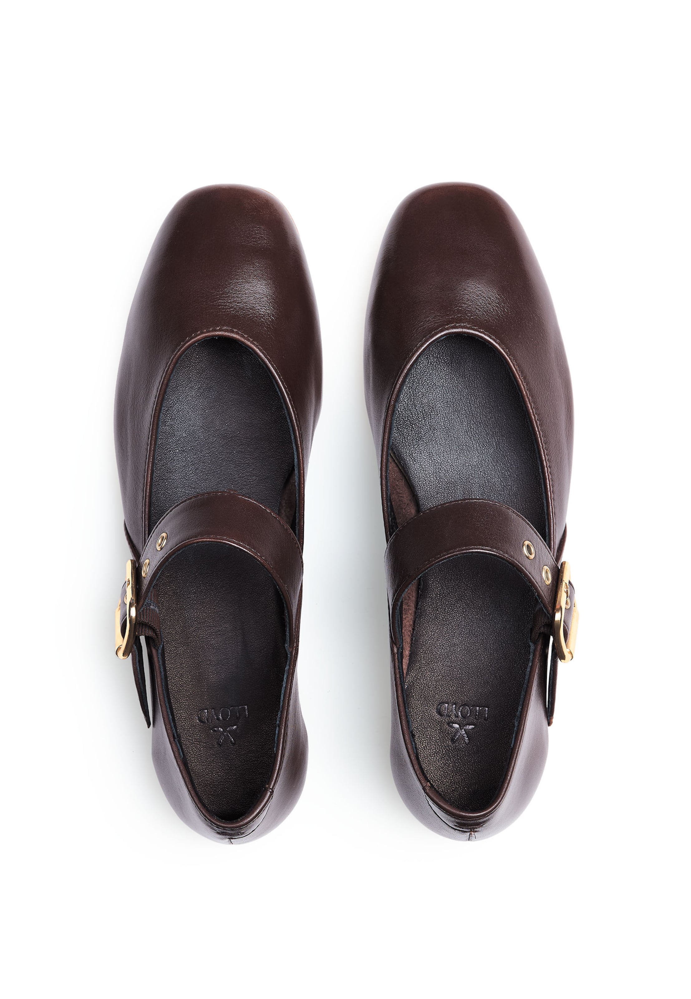 LLOYD Ballet Flats with Strap in Brown