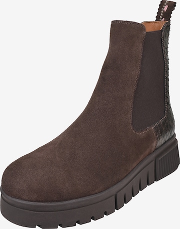 Crickit Chelsea Boot ' NAELLE ' in Braun: Vorderseite