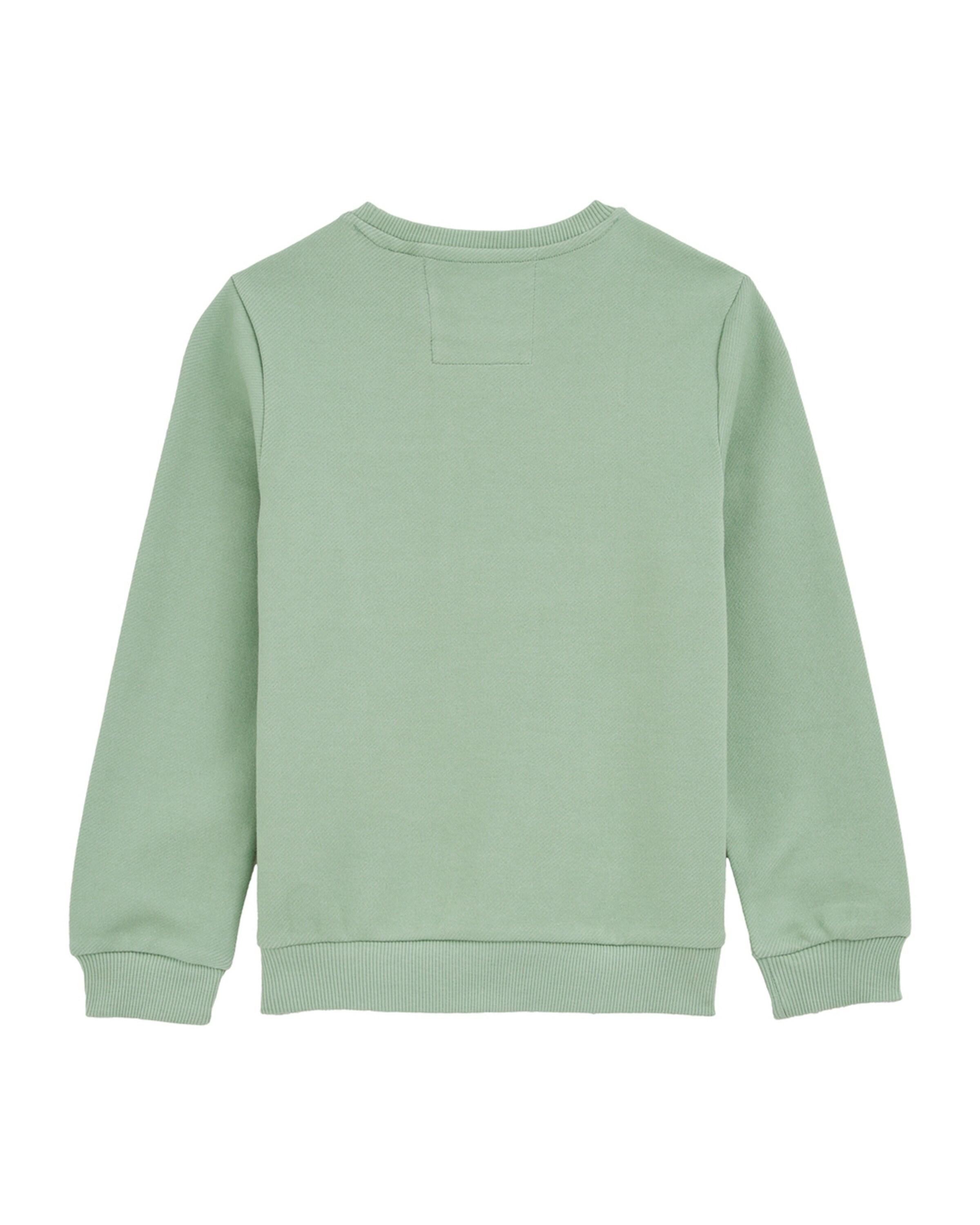 WE Fashion Sweatshirt in Green