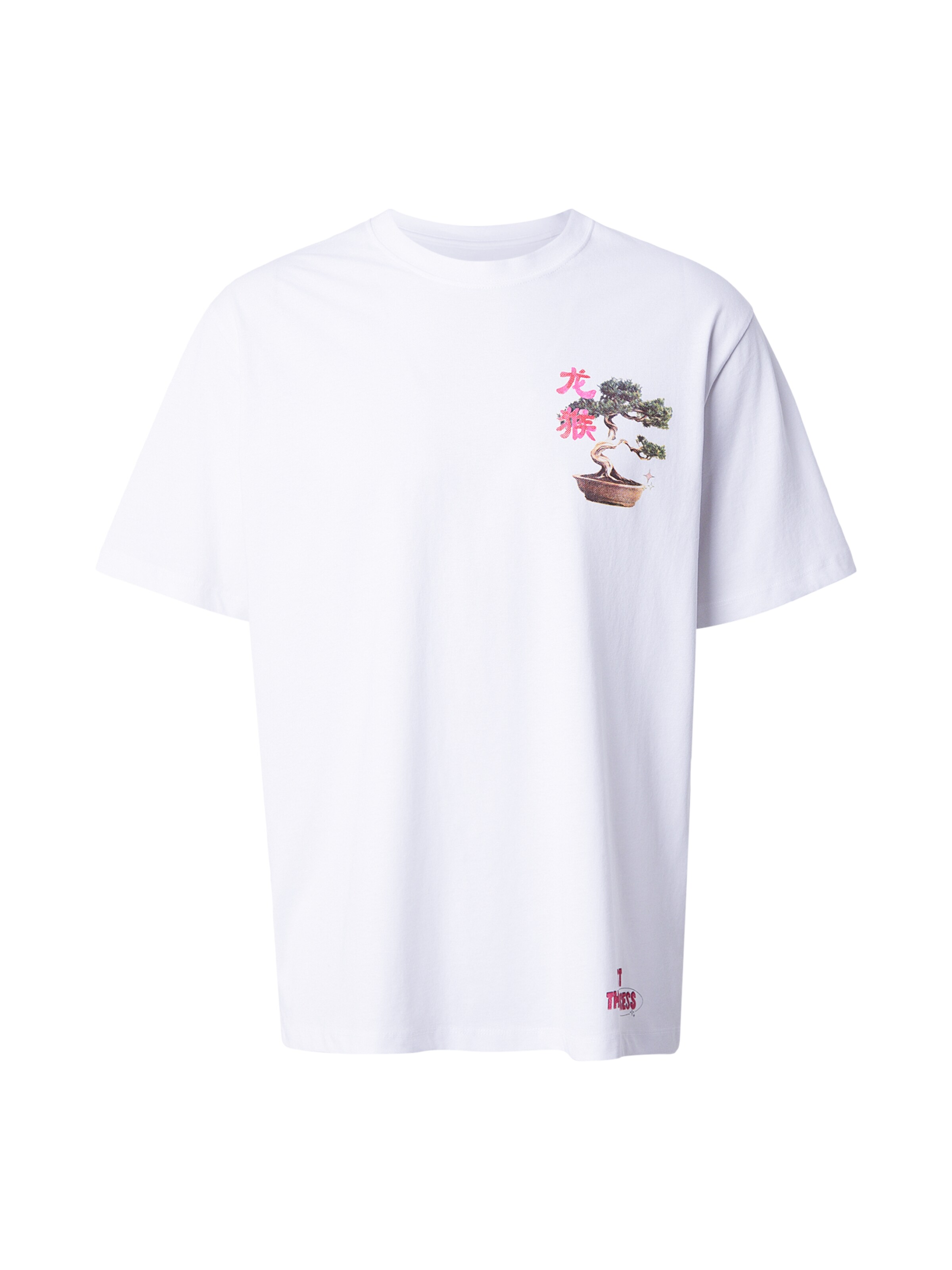 Maglietta 'JORBIG JAPAN' JACK & JONES di colore marrone / verde scuro / rosa / bianco, Visualizzazione prodotti