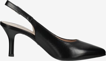 Nero Giardini Pumps in Schwarz