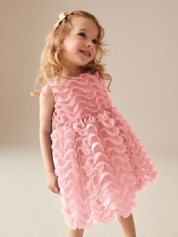 Next Kleid in Pink