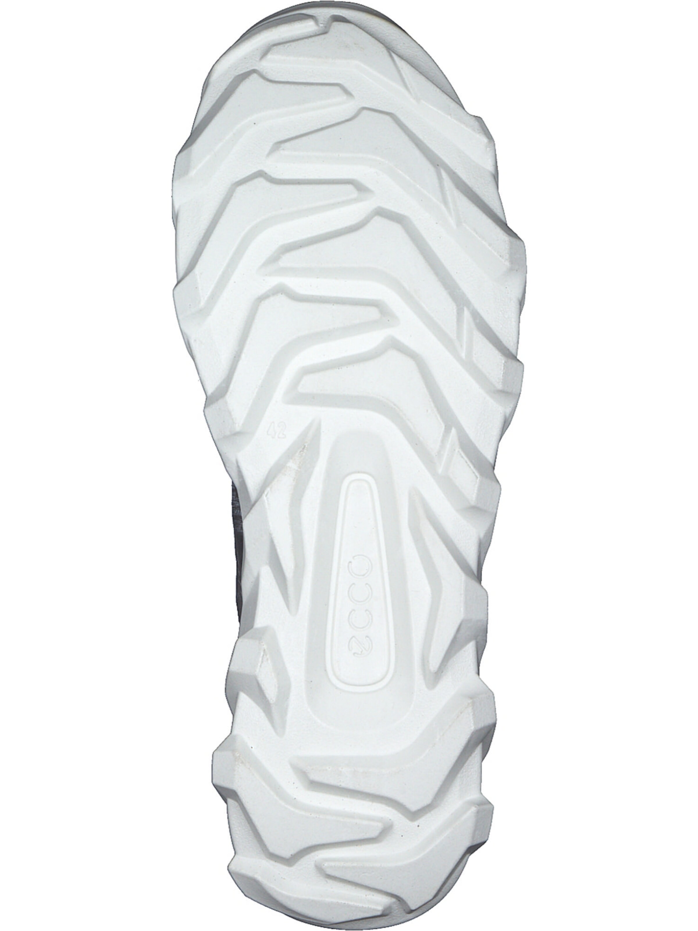 Baskets basses ECCO en gris