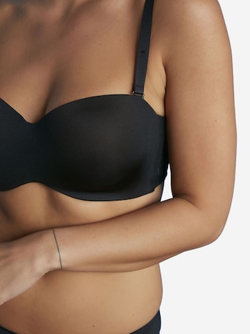 Fascia Reggiseno 'BHs & Bralettes' di Penti in nero: frontale