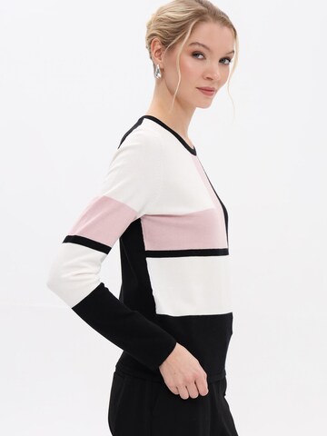 Passioni Sweater in Pink