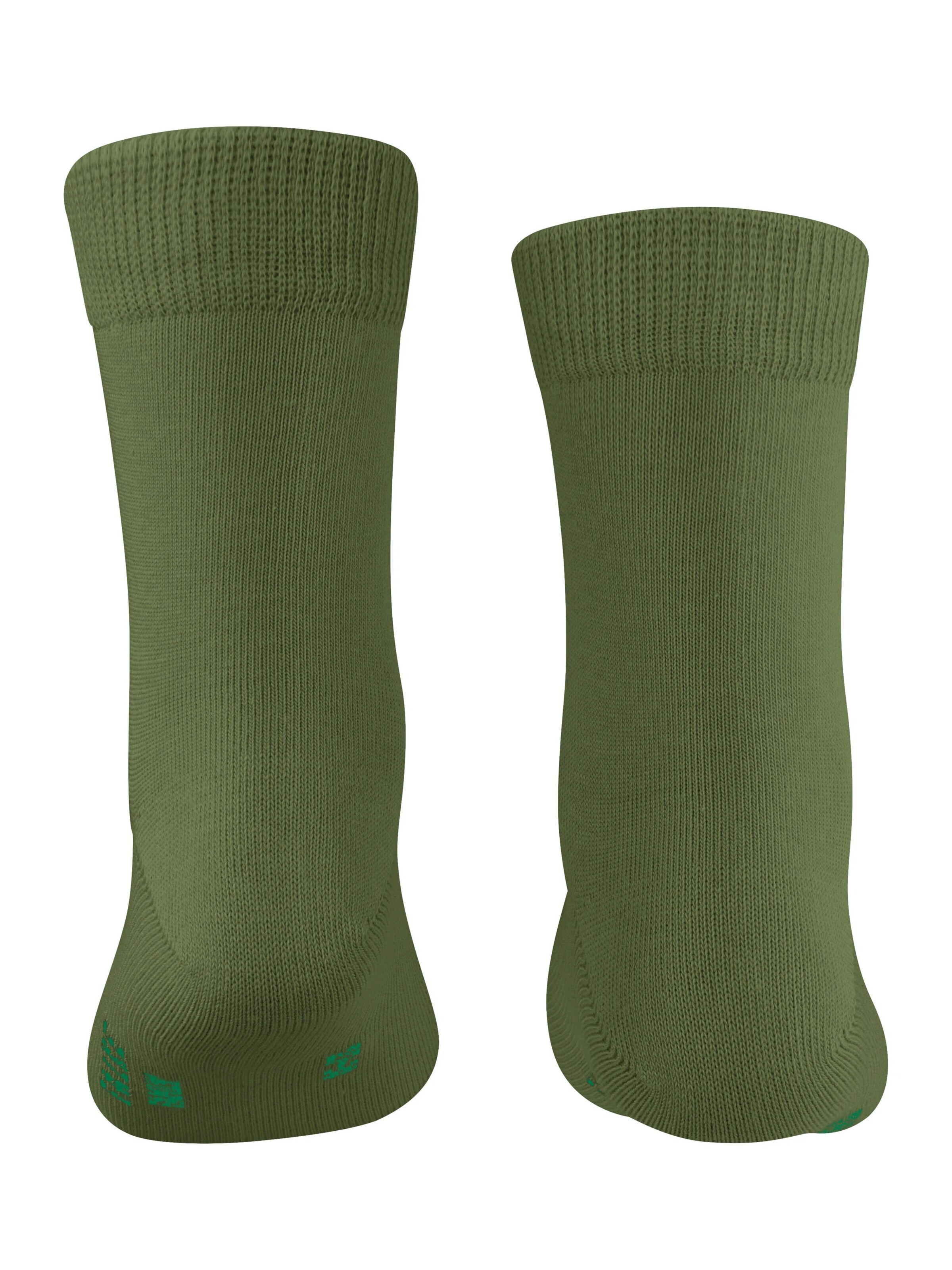 FALKE Socks 'Family' in Green