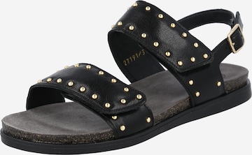 Ca'Shott Sandals in Black: front