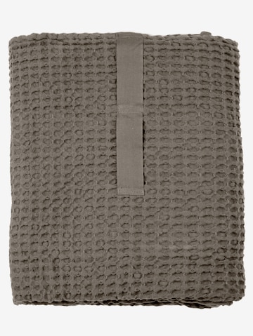 The Organic Company Shower Towel in Brown