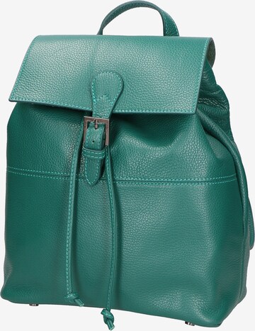 Gave Lux Backpack in Green: front