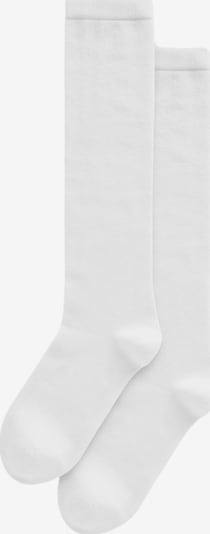 Next Dokoljenke u bijela, Pregled proizvoda