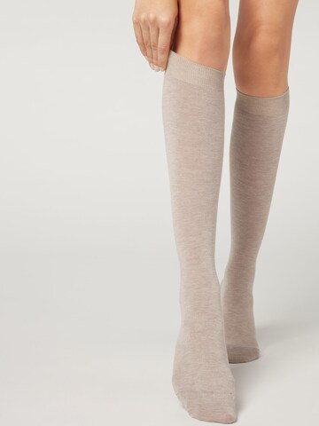 CALZEDONIA Knee High Socks in Beige: front