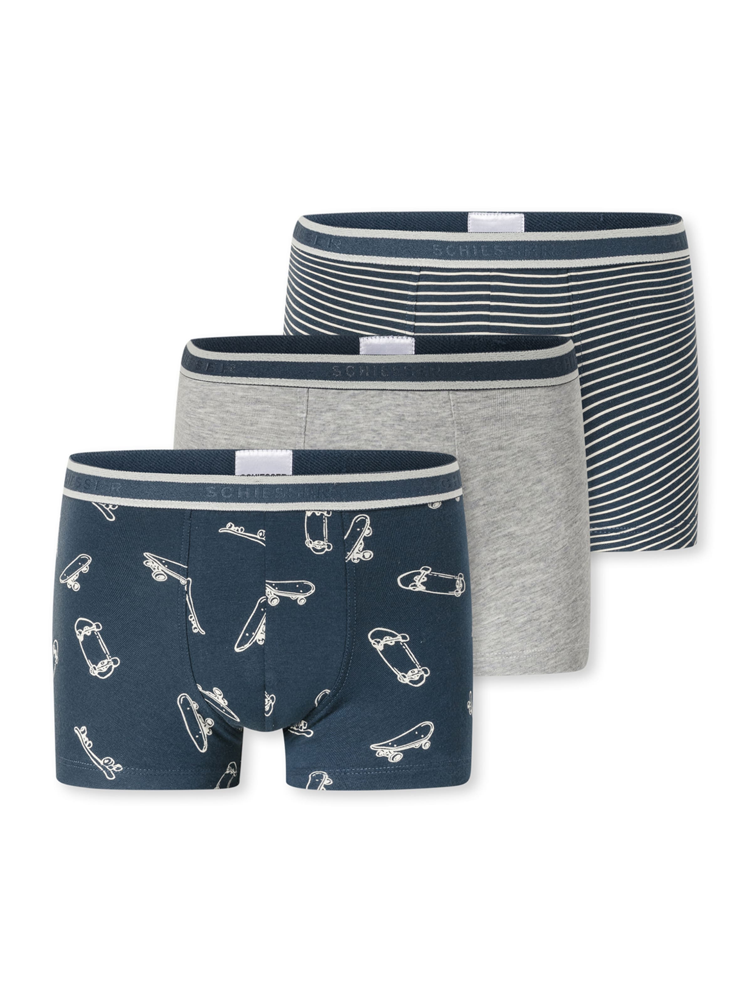 Sous-vêtements ' 95/5 Multi ' SCHIESSER en bleu : devant