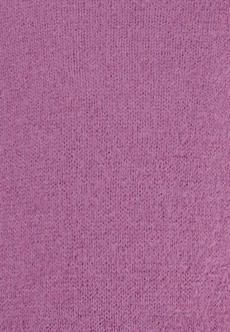 purpurinė faina Megztinis