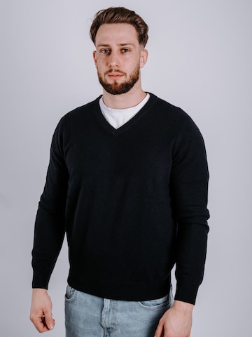 DELGER Sweater in Blue