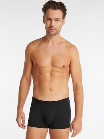 Ten Cate Boxer shorts in Mixed colours