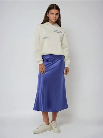 Hiccup Rok in Blauw: voorkant