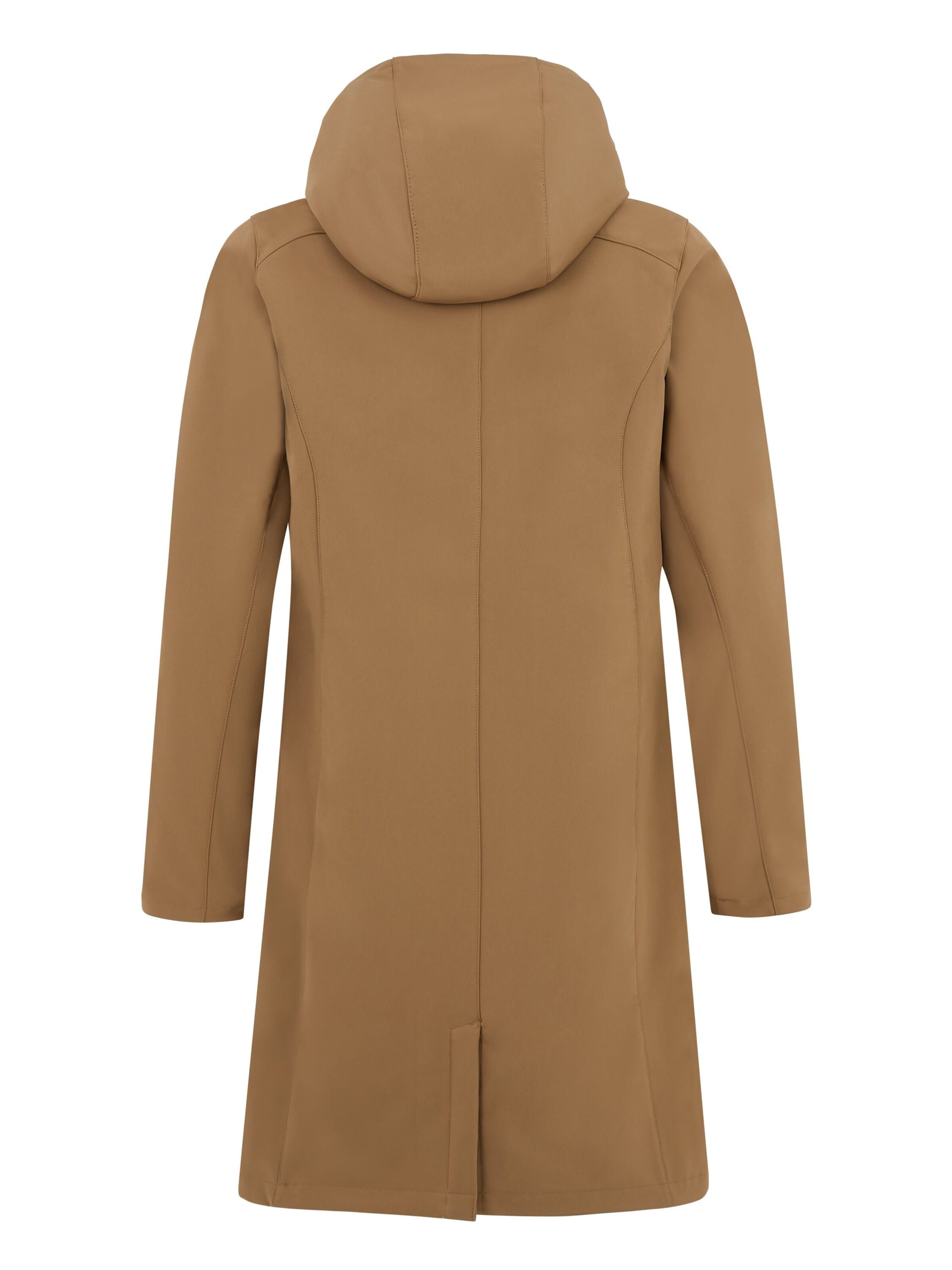 PROTEST Winter jacket 'PRTERIS' in Brown