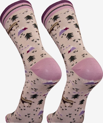 UphillSport Socks 'IBEX' in Purple