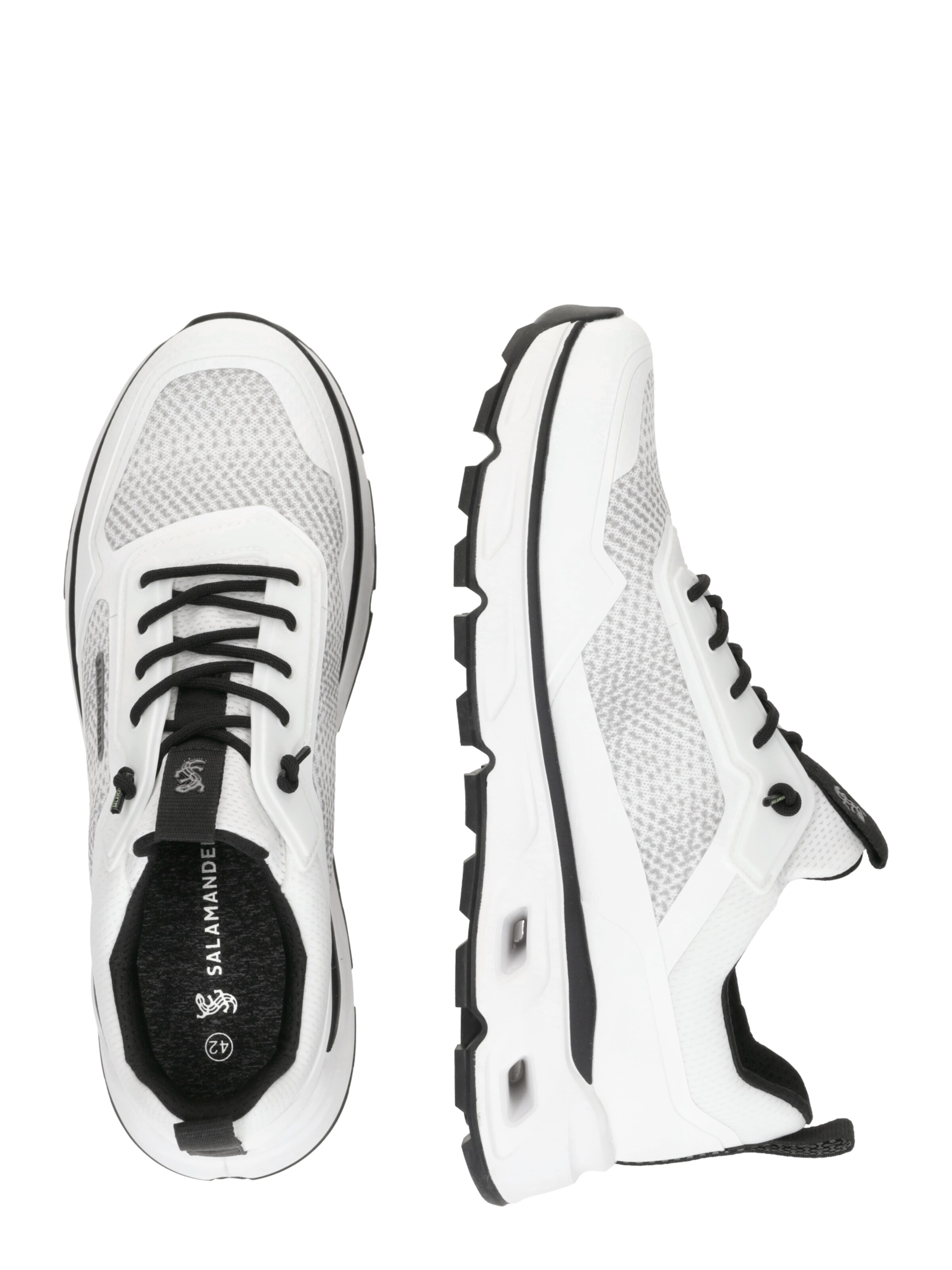 SALAMANDER Trainers in White