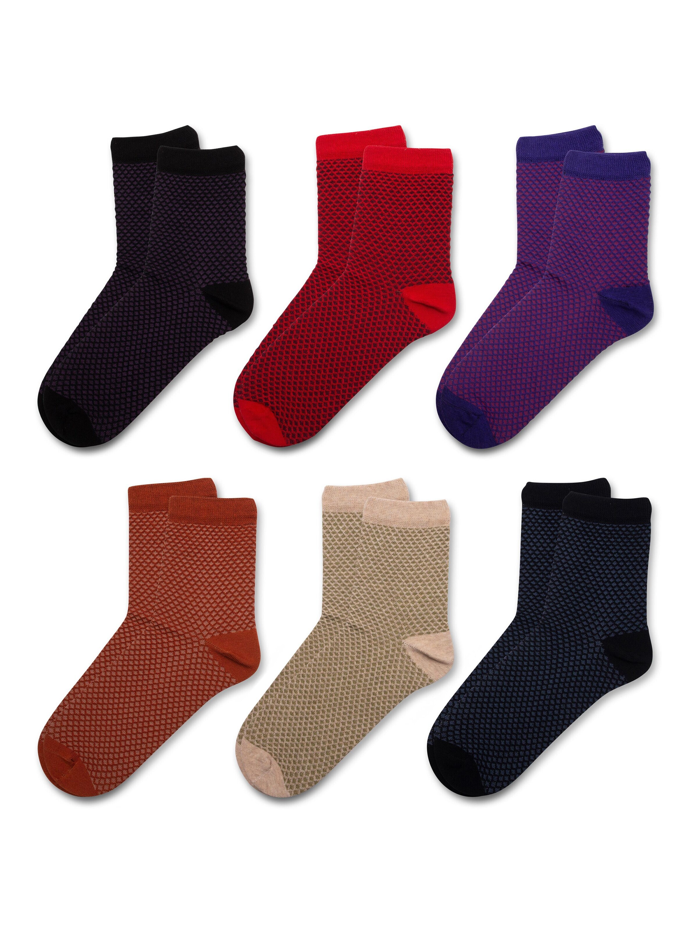 RAFRAY Socks in Mixed colors: front