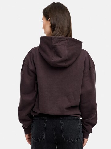 Daily Cotton Sweatshirt 'DCTERUEL' in Brown