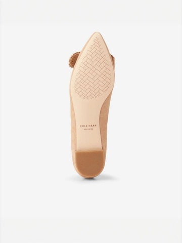 Cole Haan Ballerina 'BELLPORT BOW' värissä ruskea