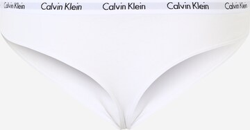 jauktas krāsas Calvin Klein Underwear Plus Stringu biksītes 'Carousel'